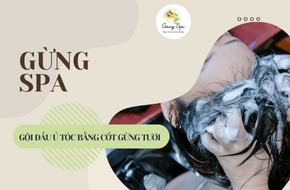 GỘI ĐẦU Ủ TÓC BẰNG CỐT GỪNG TƯƠI